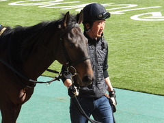 20150214 東京8R 春嶺JS メジロサンノウ 05