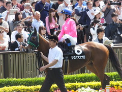 20160515 東京9R テレ玉杯(1000) ツクバアスナロ 20