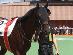 20140907 札幌4R キングラナキラ 04