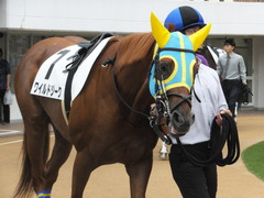 20161001 中山4R 3歳上障害未勝利 ワイルドジーク 07
