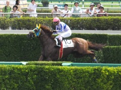 20160910 中山4R 3歳上障害未勝利 ワイルドジーク 11