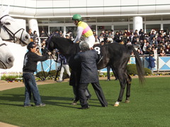 20150228 中山11R 総武S 4歳上1600万下 ベルゲンクライ 10