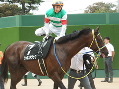 20180917 中山9R 白井特別(1000) ラッシュアタック 13