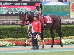 20181104 東京11R AR共和国杯(G2) ホウオウドリーム 05