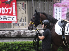 20161022 東京12R (1000) ノーモアゲーム 04