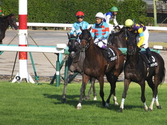20150912 中山10R 鋸山特別 1000万下 ヴィルトグラーフ 15