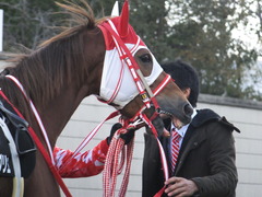 20170114 京都10R 北大路特別 4歳上牝馬1000万下 レーヌドブリエ 14