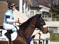 20160124 中山5R 3歳未勝利 アークアーセナル 14