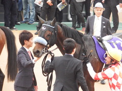 20180415 中山11R 皐月賞(G1) ダブルシャープ 21