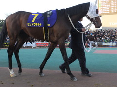 20161229 大井10R 東京大賞典(G1) サンドプラチナ 13