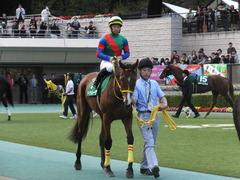 20151031 東京11R アルテミスS(G3) テイケイレーヴ 07