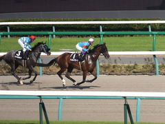 20150912 中山10R 鋸山特別 1000万下 ヴィルトグラーフ 12