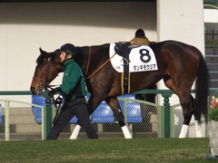 20170114 京都12R 4歳上1000万下 タンギモウジア 03