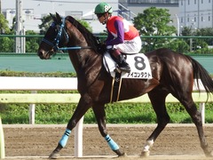 20180814 大井3R 3歳230万下 アイコンタクト 17