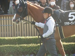 20190203 東京9R ゆりかもめ賞 3歳500万下 クラサーヴィツァ 06