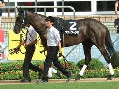 20180916 中山10R 初風特別(1000) ウォーターラボ 05
