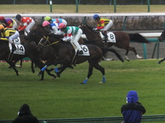20150308 中山5R 3歳未勝利 ラッシュアタック 14
