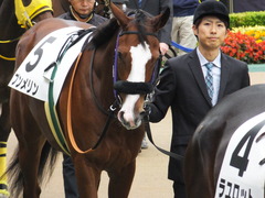 20161030 東京1R 2歳未勝利 プンメリン 05