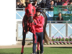 20190114 中山8R 4歳上(500) ノーザンクリス 12