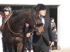 20170325 中山11R 日経賞(G2) マイネルサージュ 03