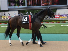 20140629 東京10R ゴールウェイ 04