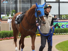 20170624 函館10R 湯川特別(500) ヤマニンリュウセイ 05