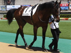 20140614 東京3R ダノンジャガー 05