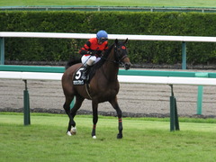 20161001 中山10R 習志野特別 オウケンブラック 13