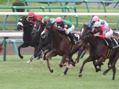 20180930 中山9R サフラン賞 2歳牝馬500万下 ポリアンサ 20