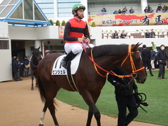 20181223 中山3R 2歳未勝利 ピンシェル 16