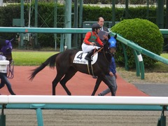 20180407 中山3R 3歳未勝利 ラプターゲイル 12