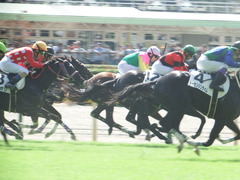 20181007 東京3R 2歳未勝利 ミヤコローズ 27