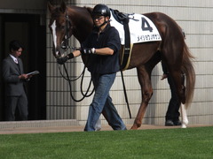 20151121京都2R 2歳未勝利 メイショウノボサン 03