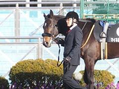 20160124 中山10R 東雲賞 マイネルサージュ 03