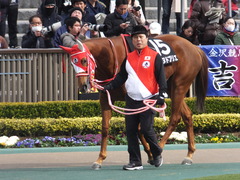 20170211 東京9R テレビ山梨杯(牝1000) レーヌドブリエ 06