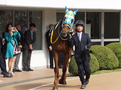 20150322 中山9R 幕張S(1600) アルマディヴァン 06