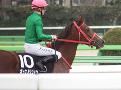 20190126 東京10R クロッカスS 3歳OP オトナノジジョウ 25