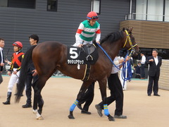 20170930 中山10R 習志野特別(1000) ラッシュアタック 10