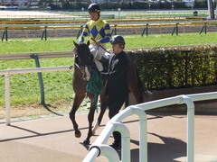 20150131 東京4R 3歳未勝利 ロジダーリング 07