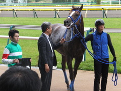 20150621 東京10R 芦ノ湖特別 マッサビエル 22