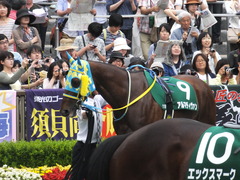 20160612 東京11R エプソムC(G3) アルマディヴァン 09