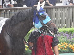 20180623 東京12R (500) アドマイヤシナイ 10