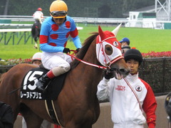 20151123 東京10R 鷹巣山特別 レーヌドブリエ 24