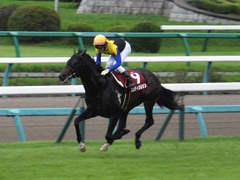 20160918 中山11R セントライト記念(G2) プロディガルサン 16