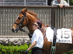 20160521 東京3R 3歳未勝利 オートシャンティ 05