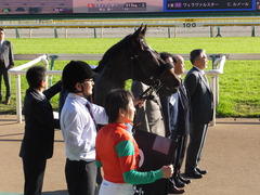 20161105 東京9R 南武特別(1000) マイネルサージュ 29