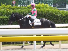 20170610 東京6R 3歳未勝利 バトルオスカー 18