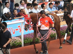 20170923 阪神10R 夕月特別(牝1000) レーヌドブリエ 11