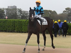 20180407 中山6R 3歳未勝利 エイカイオリンピア 15