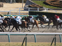 20150104 中山6R 4歳上500万下 ワイルドジーク 08